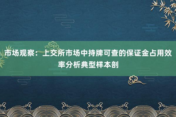 市场观察：上交所市场中持牌可查的保证金占用效率分析典型样本剖