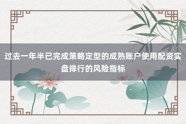 过去一年半已完成策略定型的成熟账户使用配资实盘排行的风险指标