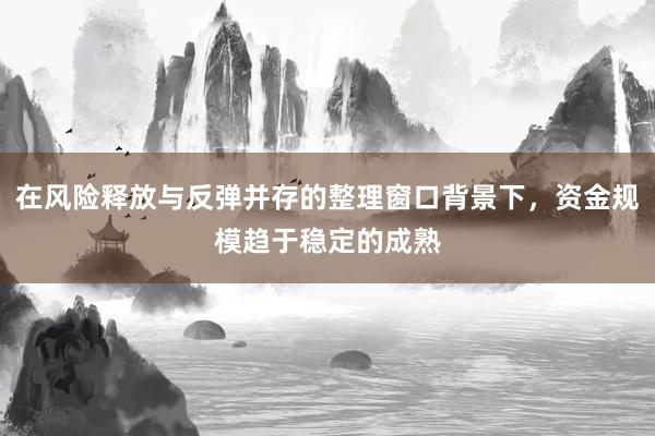 在风险释放与反弹并存的整理窗口背景下，资金规模趋于稳定的成熟