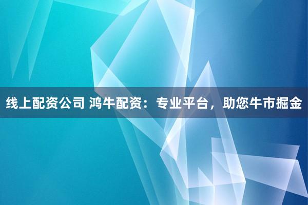 线上配资公司 鸿牛配资：专业平台，助您牛市掘金