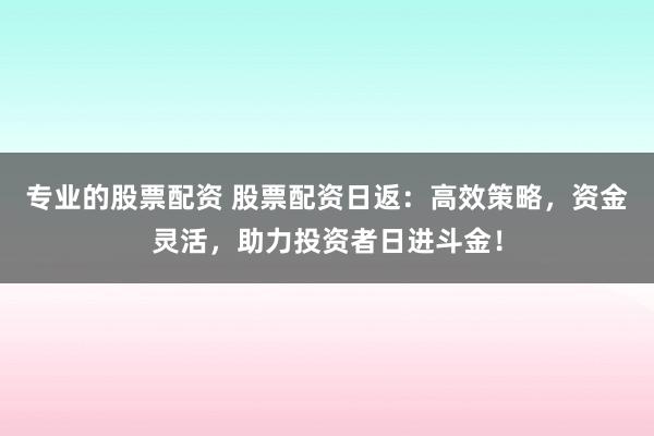 专业的股票配资 股票配资日返：高效策略，资金灵活，助力投资者日进斗金！