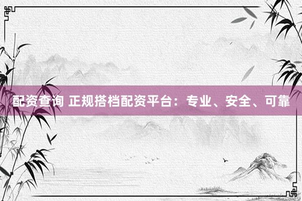 配资查询 正规搭档配资平台：专业、安全、可靠
