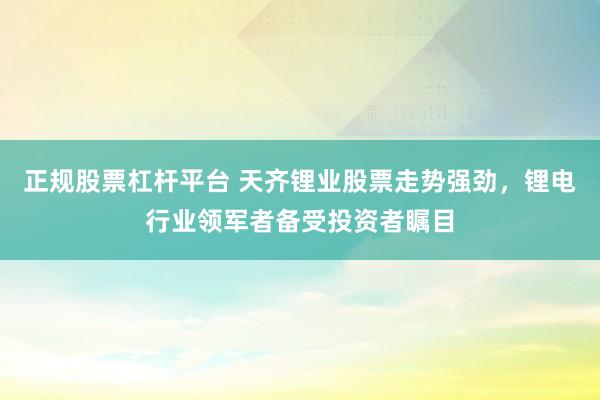 正规股票杠杆平台 天齐锂业股票走势强劲，锂电行业领军者备受投资者瞩目