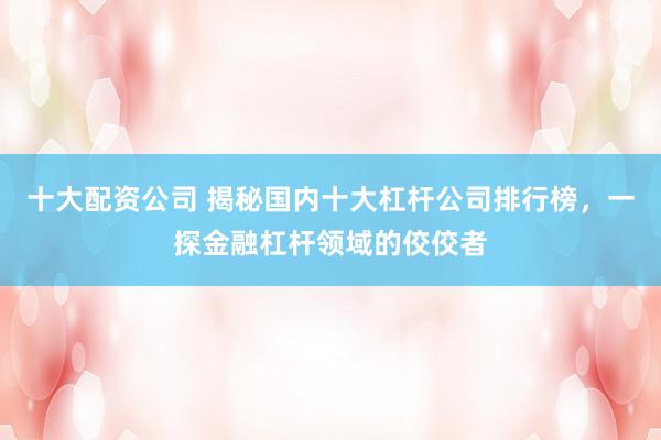 十大配资公司 揭秘国内十大杠杆公司排行榜，一探金融杠杆领域的佼佼者