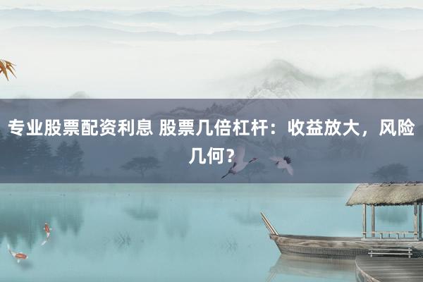 专业股票配资利息 股票几倍杠杆：收益放大，风险几何？